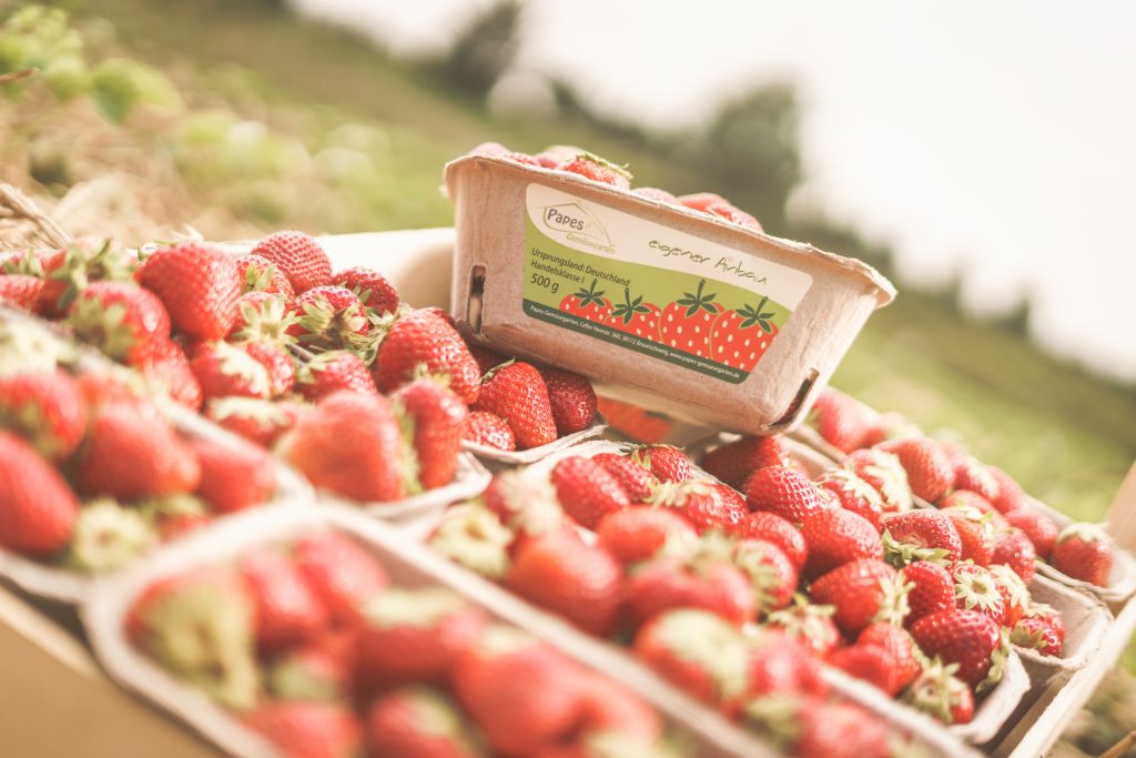 Erdbeeren zum Selbstpflücken Braunschweig Königslutter Wolfsburg