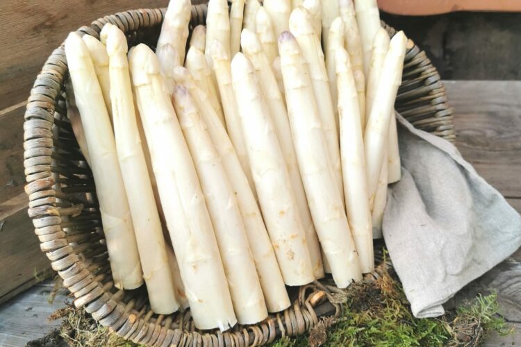 Der erste Spargel ist da - Feldfrisch von unseren Feldern