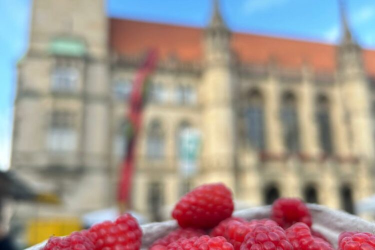 Markstand Abendmarkt vor dem Rathaus
